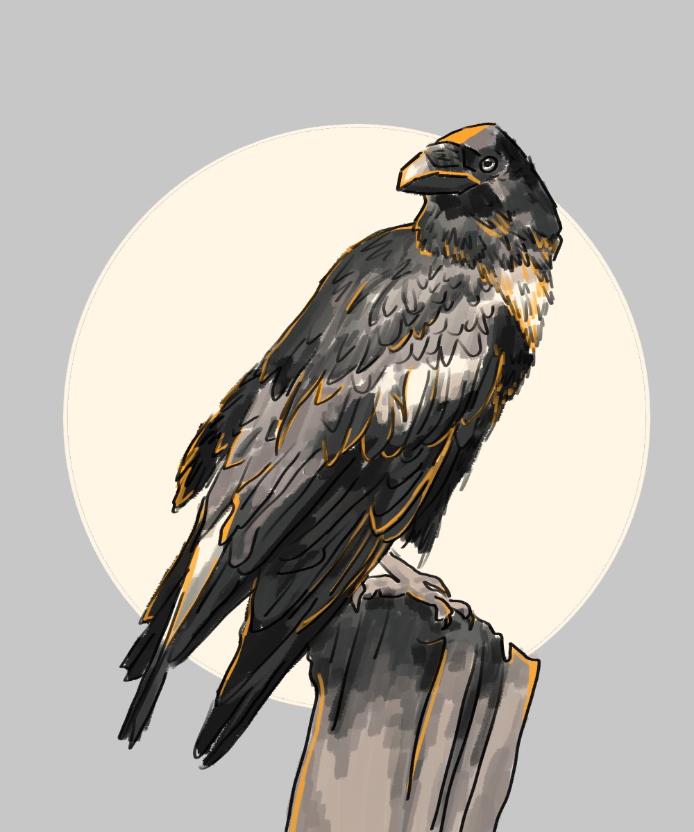 a digital drawing of a raven